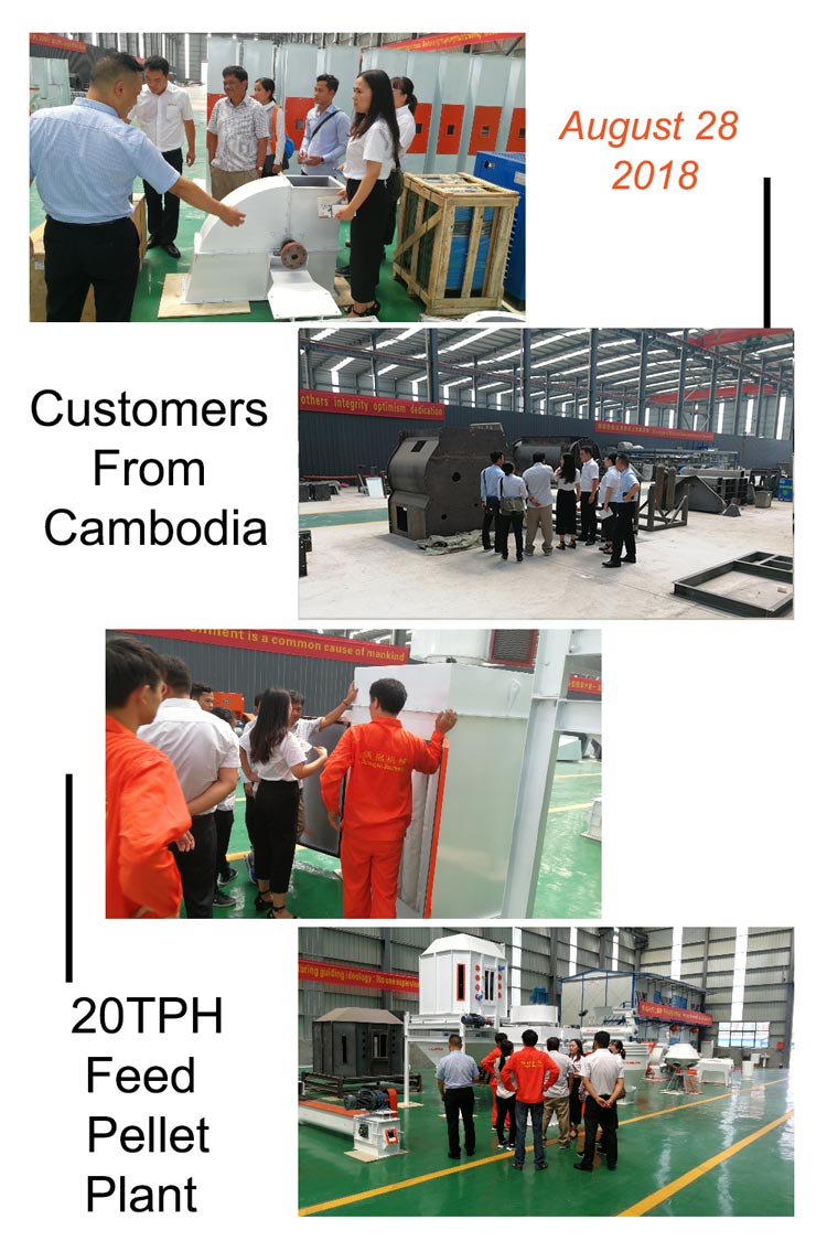 Feed Pellet Plant